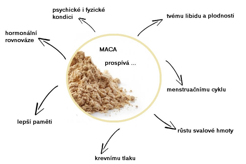 Maca-3-clanek-vyziva-proteinaco